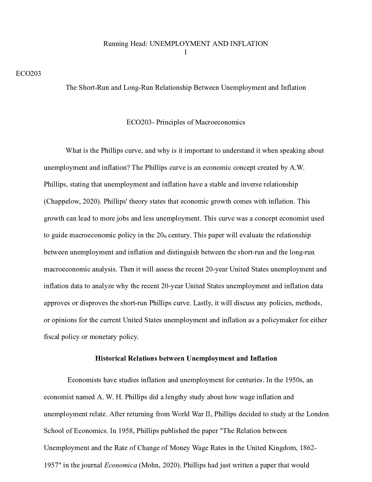 Preview image of eco203 final paper.10 22.docx document